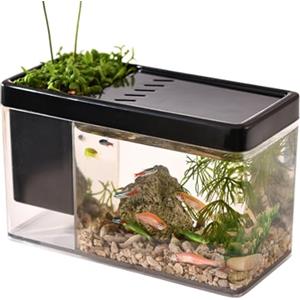 Generic acquario per pesci | acquario Betta trasparente - acquario Betta Fish Tank Mini acquario da tavolo per lumache, granchi, stelle marine