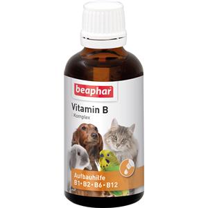 Beaphar Complesso di Vitamine B - 50 ml per Cani, Gatti, Roditori e Uccelli - Supporta le Difese e Stimola l'Appetito