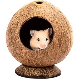 QMAAAYS QMYYYAS - Gabbia per criceti, capanne di Cocco, Giocattolo per casetta per Uccelli, Piccoli Habitat per Animali Domestici, casa per nidi di Geco,Decorazione per Habitat (12 x 12 x 13,5 cm)