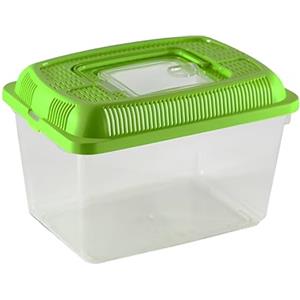 FORNOR 24192 - Acquario/Terrario, 18 x 12 x 13,4 cm, colore: Verde