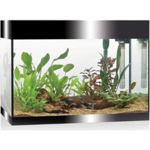 Askoll Aa350050 Pure Acquarium Kit Nero LED 68 Litri, L, Nero