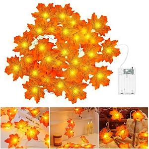 cshare Catena luminosa autunnale a batteria, 3 m, 20 LED, decorazione per Halloween, autunno, foglia d'acero, ghirlanda di luci con timer per Halloween, tema Ringraziamento, feste di Natale.