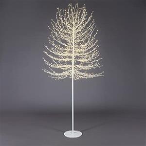 EDG Enzo De Gasperi Faggio Albero di Natale Luminoso con 1300 LED Bianco 210cm Metallo