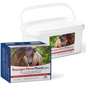 NBF Lanes Resurgen Horse Muscle Plus - Integratore per Cavalli, Supporto Muscolare con Omega 3 e Aminoacidi (20 Bustine da 35g)