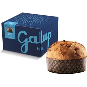 Galup Panettone Artigianale Tradizionale Milanese a Lievitazione Naturale, con Uvetta e Canditi, Senza Glassa di Guarnizione - 1 Kg