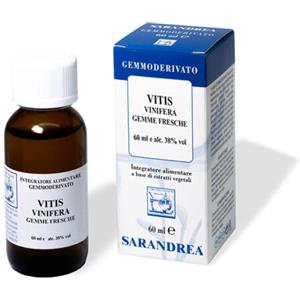 HOMEOSERVICE Vitis Vinifera 60ml MG - Materia Prima Fresca da Gemme e Germogli