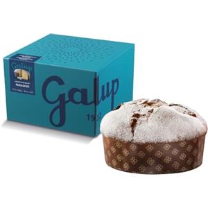 Galup Panettone Artigianale con Impasto all'Arancia a Lievitazione Naturale, Senza Uvetta e Canditi, da Guarnire con Zucchero a Velo - 750 g