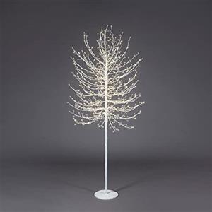 EDG Enzo De Gasperi Faggio Albero di Natale Luminoso con 900 LED Bianco 180cm Metallo