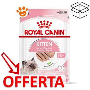 Royal Canin Kitten Morbido Paté 85g - Alimento Completo per Gattini Fino a 12 Mesi con Ingredienti di Alta Qualità