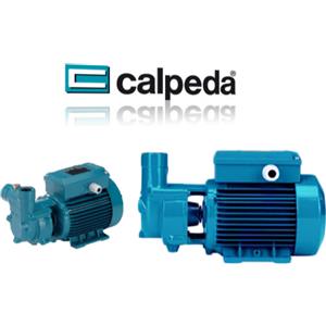 Calpeda Pompa Autoadescante CAM 80E - 0,6 HP, Monofase, Anello Liquido, Girante a Stella