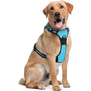 EcoEarth Pettorina per cani di taglia grande - extra large, blu - morbida imbottita, regolabile, design anti-strappo, per corsa e trekking - di EcoEarth