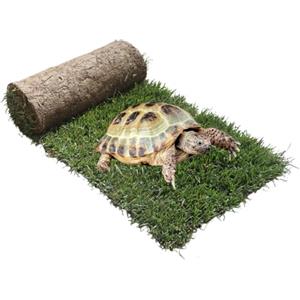 PetZolla Ricarica S Tartarughe 60x40cm - Terrario tartarughe di terra in vero prato naturale, Ricambio facile da sostituire per il Kit tartarughe S, casetta per tartarughe da interno dura fino a 5 mesi