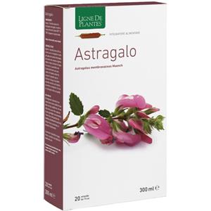 Natura Service Astragalo - 20 Ampolle Bevibili da 15 ml, Complemento Alimentare a Base di Astragalus