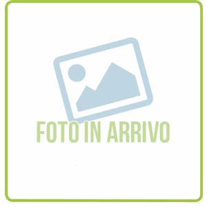 BIOSCALIN TRICOAGE FIALE DOPP