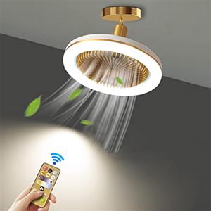 WRMING Ventilatore da Soffitto con Lampada e Telecomando, E27 Plafoniera Dimmerabile con Ventilatore Angolo Regolabile, 30W LED Piccolo Ventilatore da Soffitto con luci per Cucina Camera da Letto