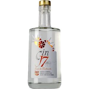 UOOTPC Gin J7 - Costa dei Trabocchi ® - Gin con Arancia selvatica - Premium gin mediterraneo con Arance e botaniche autoctone - 700 ML