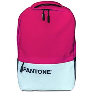 Pantone Celly Pantone Zaino Porta PC 15.6, Zaino Uomo e Donna con USB Ricarica, Comparti Protettivi, Comodo e Capiente per Lavoro, Viaggio e Scuola, Rosa