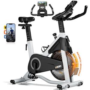 LABGREY Cyclette Professionale Magnetica con Schermo LCD, Supporto Tablet, Bluetooth APP Kinomap Zwift, Volano 15kg e Accessori Extra Perfetta per Fitness ed Esercizio a Casa