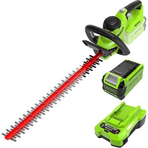 Greenworks G40HT61K2 Tagliasiepi a Batteria, Lame a Doppia Azione da 61cm, Taglia Rami e Steli Fino a 27mm di Spessore, 3000spm, Batteria 40V 2Ah e Caricabatterie, Garanzia 3 Anni