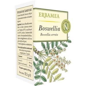 Erbamea Boswellia 50 Opercoli - Integratore Naturale per il Benessere Articolare con 65% di Acidi Boswellici