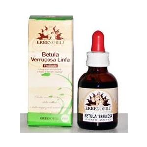 ERBENOBILI Srl FITOBLASTO BETULLA VERR LIN 50