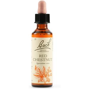 SCHWABE PHARMA ITALIA Srl BACH 25 RedChestnut 20ml LKR