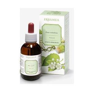 ERBAMEA Srl PILOSELLA PARTI AEREE ESTRATTO IDRO-ALCOLICO