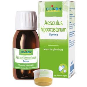 BOIRON Srl AESCULUS HIP MG 60ML INT