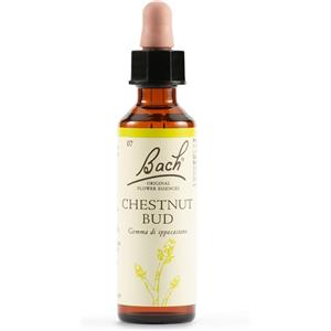 SCHWABE PHARMA ITALIA Srl CHESTNUT BUD BACH ORIG 20ML
