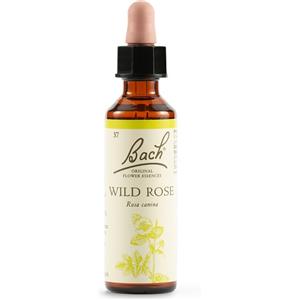SCHWABE PHARMA ITALIA Srl WILD ROSE BACH ORIG 20ML