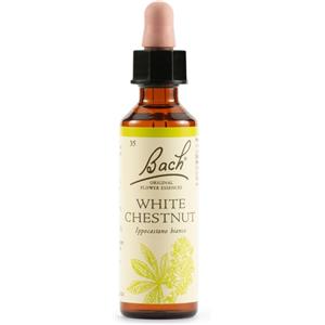 SCHWABE PHARMA ITALIA Srl WHITE CHEST BACH ORIG 20ML