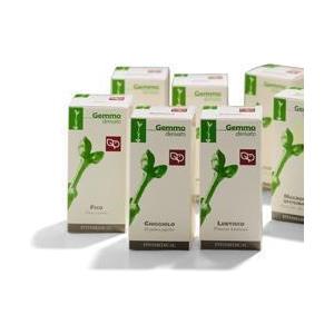 FITOMEDICAL Srl RIBES NE 200ML MG
