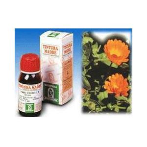 SPECCHIASOL Srl Specchiasol Calendula 5 Tintura Madre 50 ml