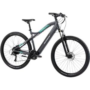 F.lli Schiano E-Mercury, Bici Elettrica Mountain Bike 29 Inches per Adulti, 36V 11.6Ah Batteria Rimovibile, Motore 250W 50Nm, MTB Ebike, Grigio-Verde