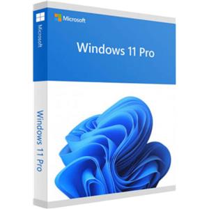 Microsoft Windows 11 Pro 64 Bit - Download ESD - 1 Licenza Multilingua