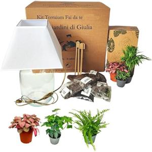 I Giardini di Giulia | Kit Terrarium Lamparium Piccolo e Piante Verdi | Vaso in Vetro Ø22 cm con Paralume Incluso | Include Substrati, Accessori e Terrario Fai-da-Te
