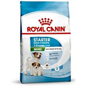 Royal Canin Mini Starter Mother & Babydog 1 kg - Alimento secco completo per cagne di piccola taglia e cuccioli fino a 2 mesi