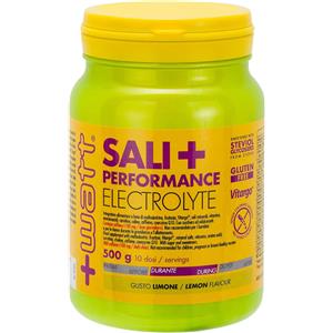 Watt Sali Performance Electrolyte 500g - Integratore con Maltodestrine, Aminoacidi e Caffeina, Gusto Limone