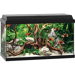 JUWEL AQUARIUM Primo 60 LED, Nero, 37x61x31