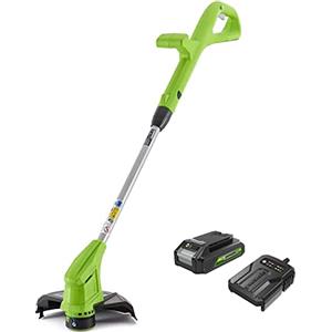 Greenworks Tagliabordi Elettrico 24V Taglio 25cm con Batteria 2Ah e Caricatore, Avanzamento Automatico 1.65mm, Testina Motore Girevole Inclinabile G24LTK2