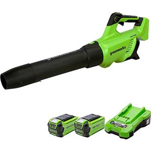 Greenworks GD40ABK2X Soffiatore Foglie Assiale a Batteria con Motore Brushless, 210km/h, 15,6m³/min, Due Batterie da 40V 2Ah e Caricabatterie, Garanzia 3 Anni