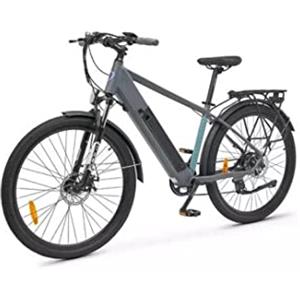 Lancia Ln-bi-220003, Ypsilon Mountain E Bike Genio Unisex Adulto, Grigio (Grey), 1830 x 1050 690 mm