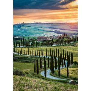 Ravensburger - Puzzle Val d'Orcia Toscana, 1000 Pezzi, Puzzle Paesaggi per Adulti e Ragazzi, Idea Regalo per Lei o Lui, 70x50 cm