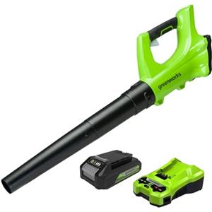 Greenworks G24ABK2 Soffiatore Foglie Assiale a Batteria, 156km/h, 4,27m³/min, Batteria 24V 2Ah e Caricabatterie, Garanzia 3 Anni