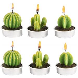 CHSG 6 Pezzi Candele di Cactus Tea Light Fatto a Mano Delicato Succulento, Verde Carino Mini Piante Grasse Profumate per Festa di Compleanno, Matrimonio, Spa, Decorazione Casa Regalo