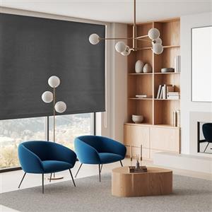 Blindecor Ara | Tenda avvolgibile traslucida tinta unita - antracite, 80 x 175 cm (larghezza per altezza) | dimensioni del tessuto 77 x 170 cm | tende per finestre