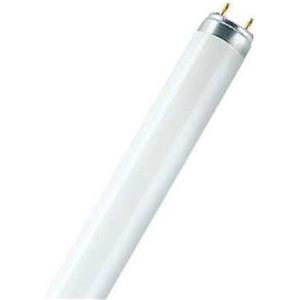 Osram LUMILUX T8 Lampada Fluorescente 58 W G13 Bianco Freddo 4000K - Lunghezza 150 cm, Diametro 2,6 cm
