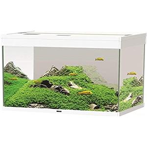 Askoll 280286 Emotion PRO Nature LED 100 Bianco con Filtro Esterno Pratiko 200, L, Bianco