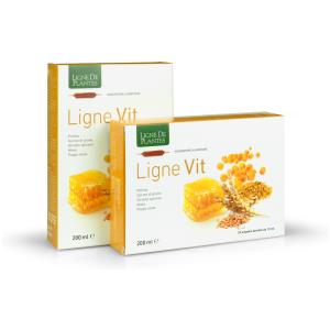 NATURA SERVICE Ligne Vit - Integratore Alimentare Tonico - 20 Ampolle da 10 ml con Polline, Germe di Grano e Miele
