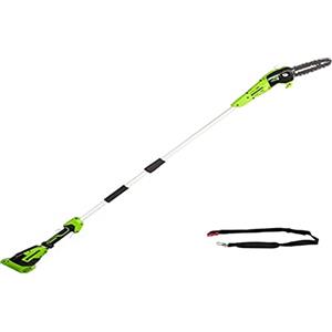 Greenworks G40PSF Sega ad Asta a Batteria, Lunghezza Barra 8-Pollice (20 cm),Velocità Catena 8m/s, 3,64kg, Auto-Lubrificante, Asta 2.58m, SENZA Batteria 40V e Caricabatterie, Garanzia 3 Anni